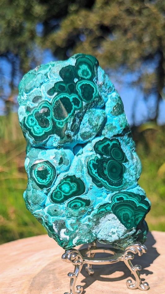 Magnificent Malacolla combo of malachite and Chrysocolla specimen