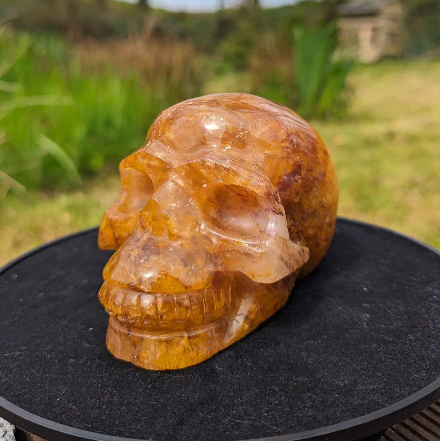 Golden Healer Skull