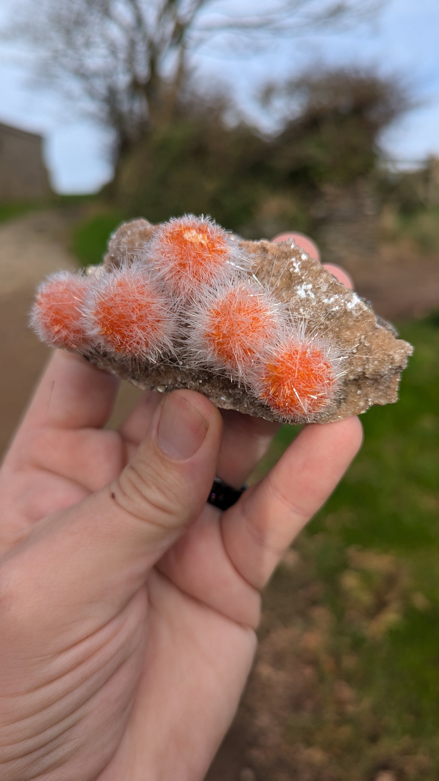 Thomsonite - African Zeolite Specimen