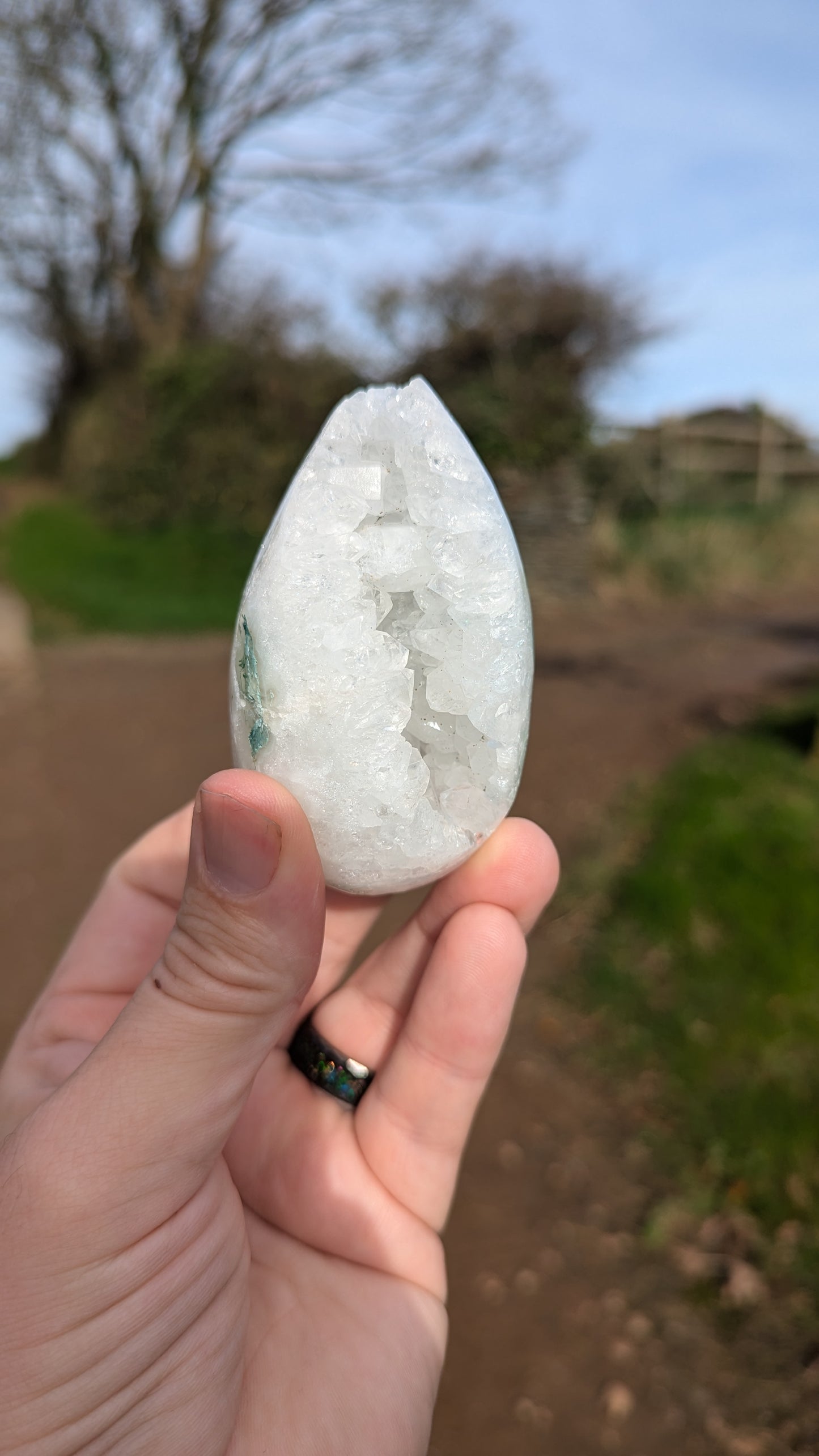 Druzy Moss Agate Egg