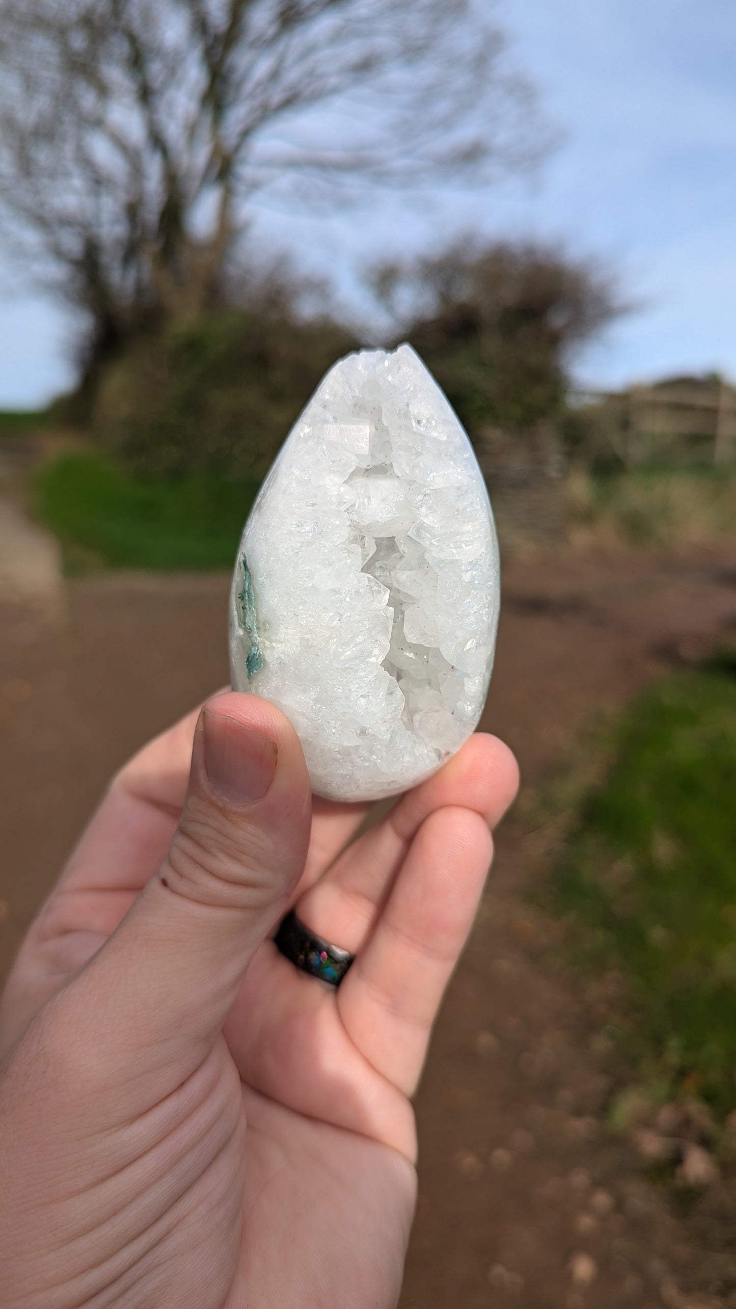 Druzy Moss Agate Egg